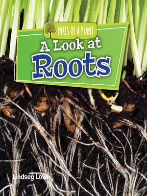 cover image of A Look at Roots